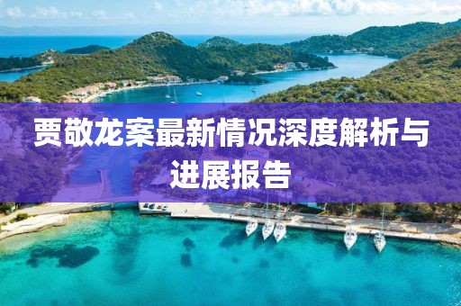 賈敬龍案最新情況深度解析與進展報告