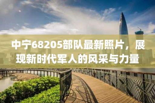 中寧68205部隊(duì)最新照片，展現(xiàn)新時(shí)代軍人的風(fēng)采與力量
