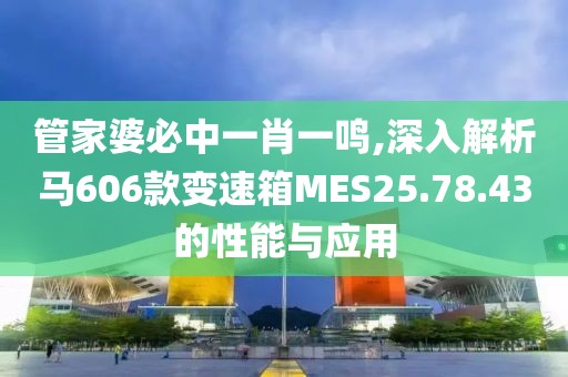管家婆必中一肖一鳴,深入解析馬606款變速箱MES25.78.43的性能與應(yīng)用