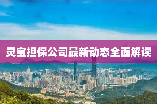 靈寶擔(dān)保公司最新動(dòng)態(tài)全面解讀