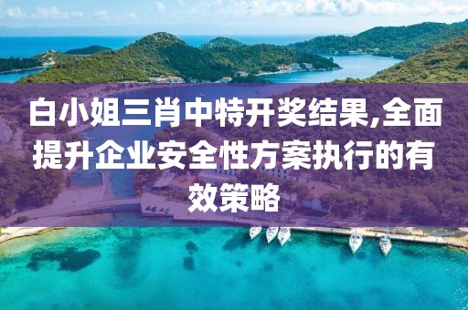 白小姐三肖中特開獎結果,全面提升企業(yè)安全性方案執(zhí)行的有效策略