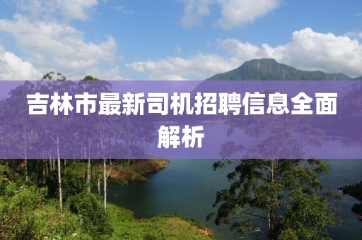 吉林市最新司機(jī)招聘信息全面解析