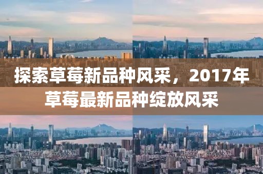 探索草莓新品種風(fēng)采，2017年草莓最新品種綻放風(fēng)采