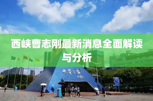 西峽曹志剛最新消息全面解讀與分析
