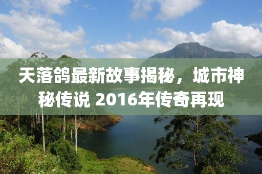 天落鴿最新故事揭秘，城市神秘傳說 2016年傳奇再現(xiàn)