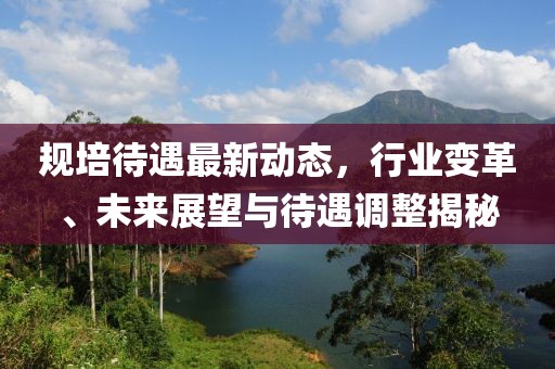 規(guī)培待遇最新動態(tài)，行業(yè)變革、未來展望與待遇調(diào)整揭秘