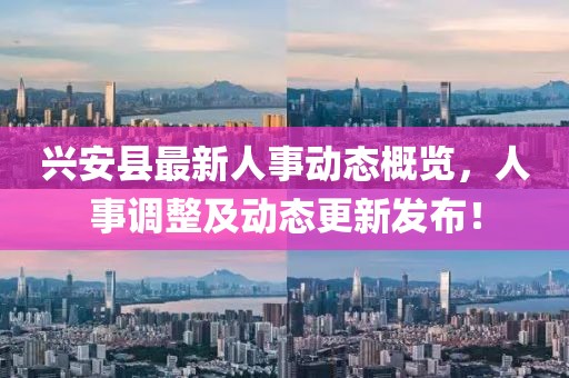 興安縣最新人事動(dòng)態(tài)概覽，人事調(diào)整及動(dòng)態(tài)更新發(fā)布！