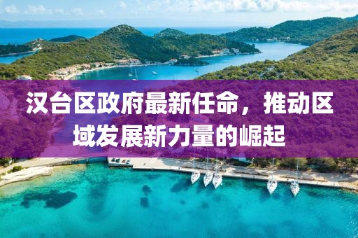 漢臺區(qū)政府最新任命，推動區(qū)域發(fā)展新力量的崛起