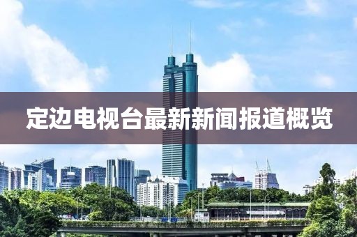 定邊電視臺最新新聞報道概覽