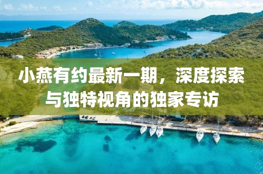 小燕有約最新一期，深度探索與獨(dú)特視角的獨(dú)家專(zhuān)訪