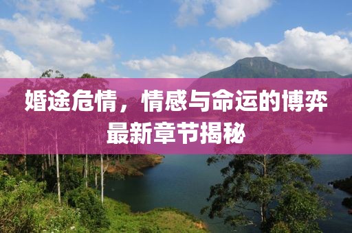 婚途危情，情感與命運的博弈最新章節(jié)揭秘