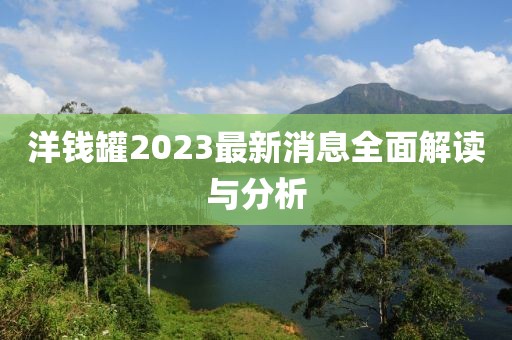洋錢罐2023最新消息全面解讀與分析