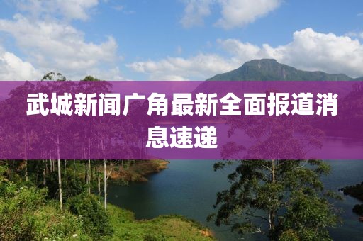 武城新聞廣角最新全面報道消息速遞