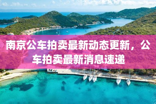 南京公車拍賣最新動態(tài)更新，公車拍賣最新消息速遞