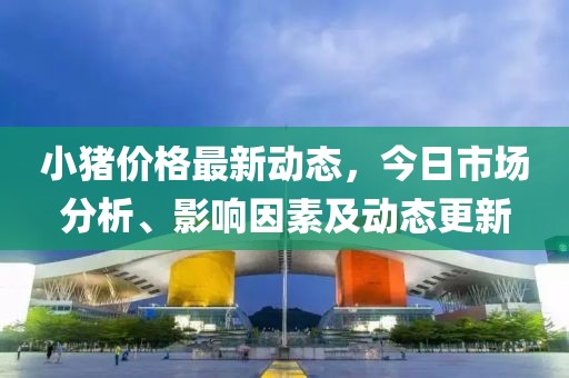 小豬價格最新動態(tài)，今日市場分析、影響因素及動態(tài)更新