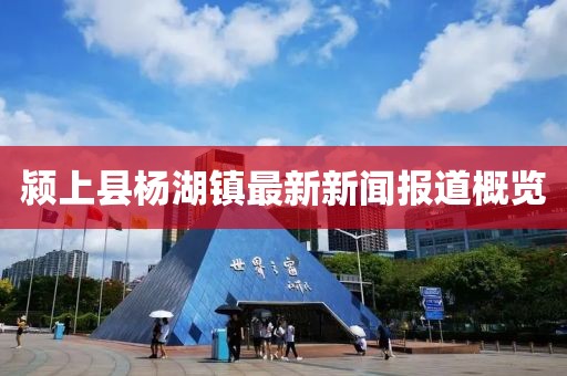 潁上縣楊湖鎮(zhèn)最新新聞報(bào)道概覽