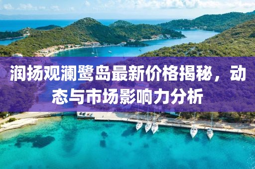 潤揚觀瀾鷺島最新價格揭秘，動態(tài)與市場影響力分析