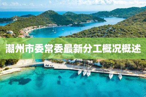 潮州市委常委最新分工概況概述