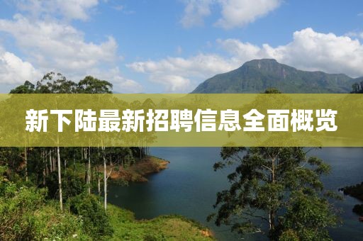 新下陸最新招聘信息全面概覽