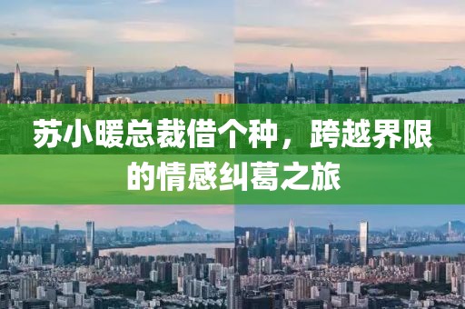 蘇小暖總裁借個種，跨越界限的情感糾葛之旅
