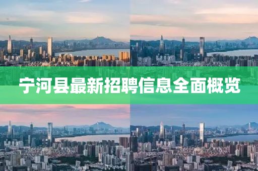寧河縣最新招聘信息全面概覽