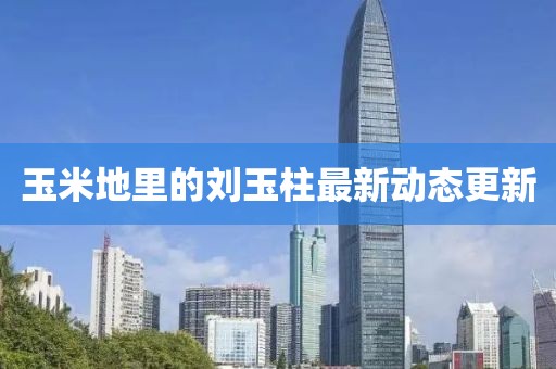 玉米地里的劉玉柱最新動態(tài)更新
