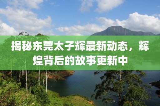 揭秘東莞太子輝最新動態(tài)，輝煌背后的故事更新中