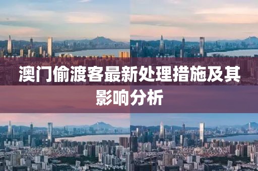 澳門(mén)偷渡客最新處理措施及其影響分析