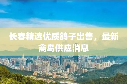 長春精選優(yōu)質(zhì)鴿子出售，最新禽鳥供應(yīng)消息