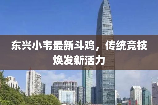 東興小韋最新斗雞，傳統(tǒng)競技煥發(fā)新活力
