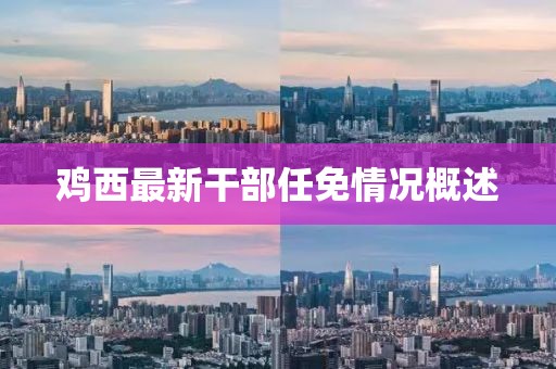 雞西最新干部任免情況概述
