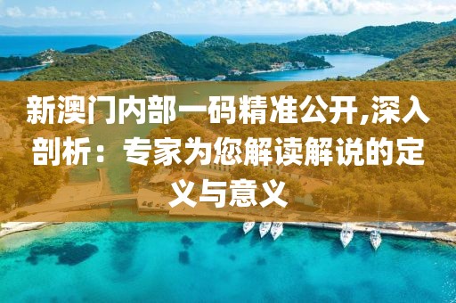 新澳門(mén)內(nèi)部一碼精準(zhǔn)公開(kāi),深入剖析：專(zhuān)家為您解讀解說(shuō)的定義與意義