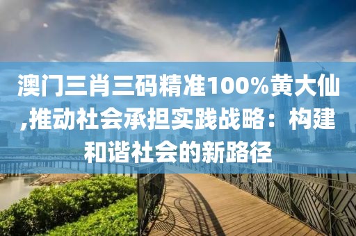 澳門三肖三碼精準(zhǔn)100%黃大仙,推動(dòng)社會(huì)承擔(dān)實(shí)踐戰(zhàn)略：構(gòu)建和諧社會(huì)的新路徑