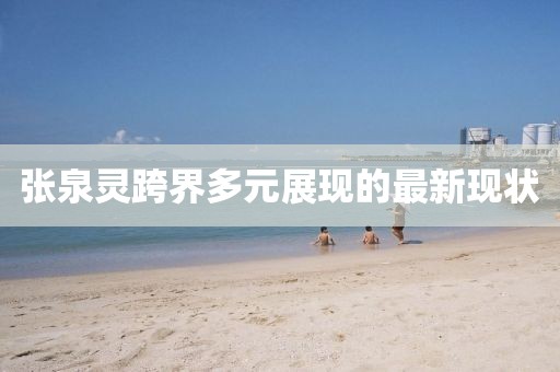張泉靈跨界多元展現(xiàn)的最新現(xiàn)狀