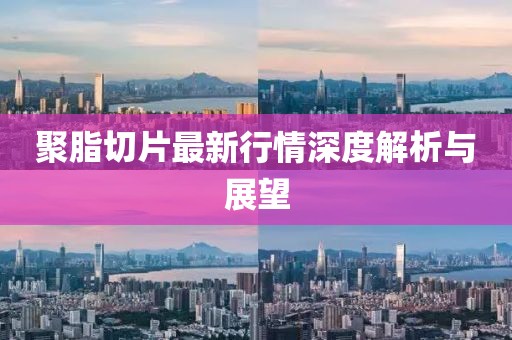 聚脂切片最新行情深度解析與展望