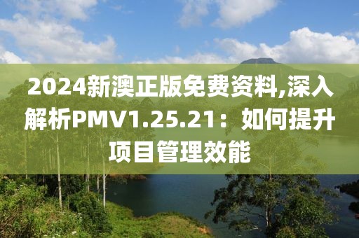 2024新澳正版免費資料,深入解析PMV1.25.21：如何提升項目管理效能