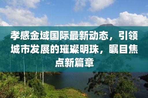 孝感金域國際最新動態(tài)，引領(lǐng)城市發(fā)展的璀璨明珠，矚目焦點新篇章