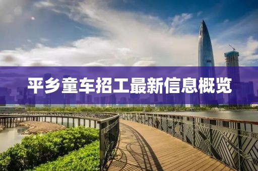 平鄉(xiāng)童車招工最新信息概覽