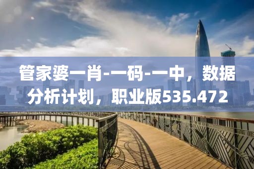 管家婆一肖-一碼-一中，數(shù)據(jù)分析計劃，職業(yè)版535.472
