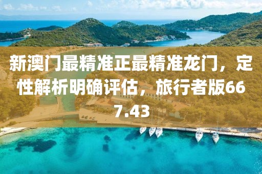 新澳門最精準正最精準龍門，定性解析明確評估，旅行者版667.43