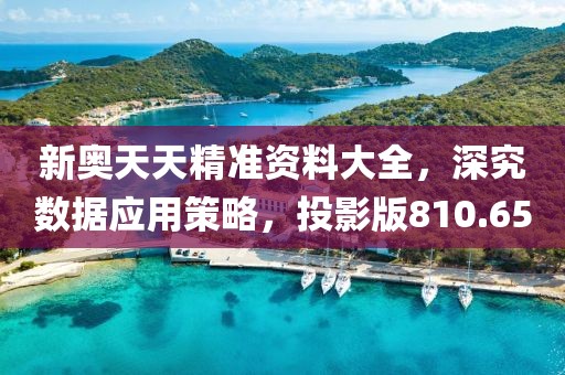 新奧天天精準(zhǔn)資料大全，深究數(shù)據(jù)應(yīng)用策略，投影版810.65
