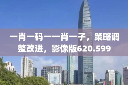 一肖一碼一一肖一子，策略調(diào)整改進，影像版620.599