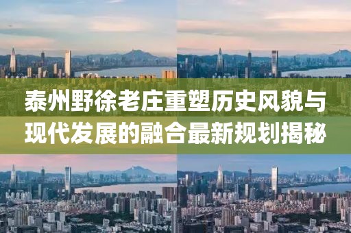 泰州野徐老莊重塑歷史風(fēng)貌與現(xiàn)代發(fā)展的融合最新規(guī)劃揭秘