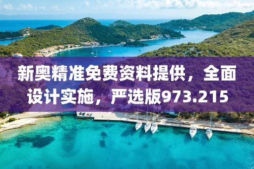 新奧精準(zhǔn)免費(fèi)資料提供，全面設(shè)計(jì)實(shí)施，嚴(yán)選版973.215