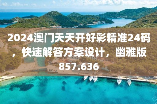 2024澳門天天開好彩精準24碼，快速解答方案設計，幽雅版857.636