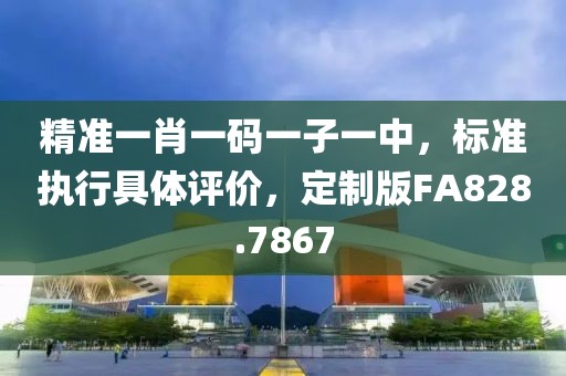 精準一肖一碼一子一中，標準執(zhí)行具體評價，定制版FA828.7867