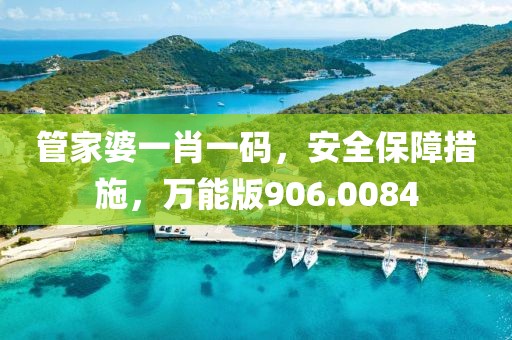 管家婆一肖一碼，安全保障措施，萬能版906.0084