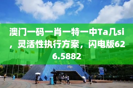 澳門一碼一肖一特一中Ta幾si，靈活性執(zhí)行方案，閃電版626.5882