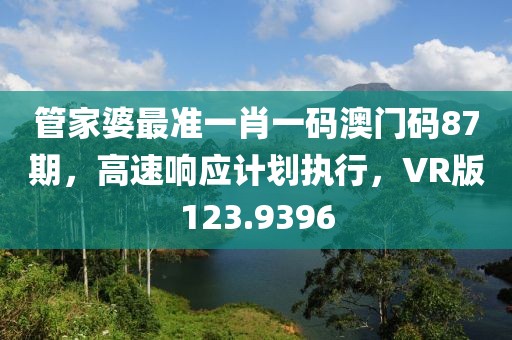 管家婆最準(zhǔn)一肖一碼澳門碼87期，高速響應(yīng)計(jì)劃執(zhí)行，VR版123.9396