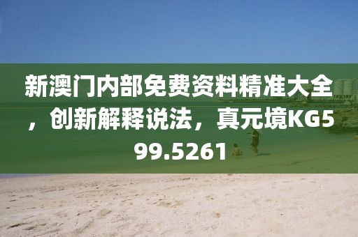 新澳門內(nèi)部免費(fèi)資料精準(zhǔn)大全，創(chuàng)新解釋說法，真元境KG599.5261
